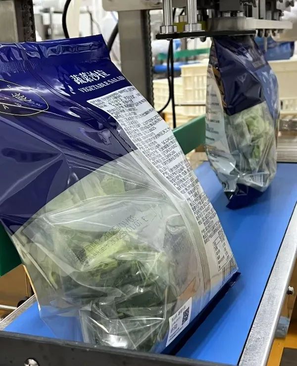 多宝电竞·(中国区)官方网站