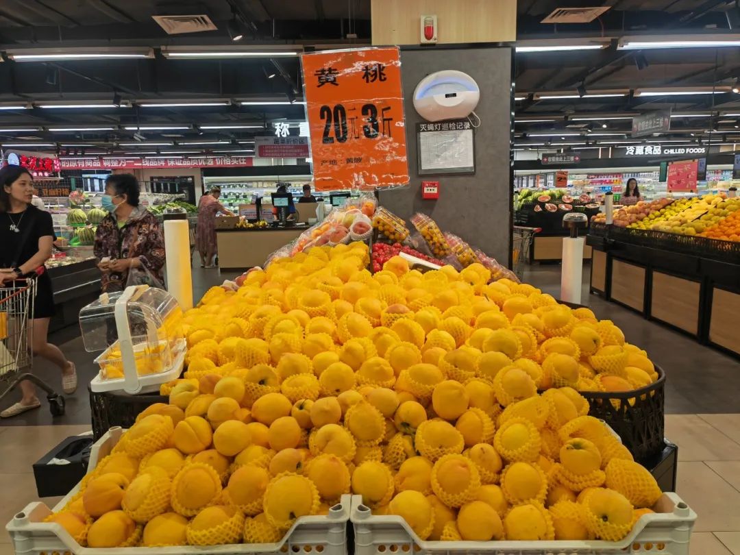 92f25d74fdff1e83ea90d5c31db46fe6 多宝电竞·(中国区)官方网站
