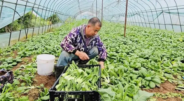 aacf73da9ec53083cce4bf3107b1ecd3 多宝电竞·(中国区)官方网站