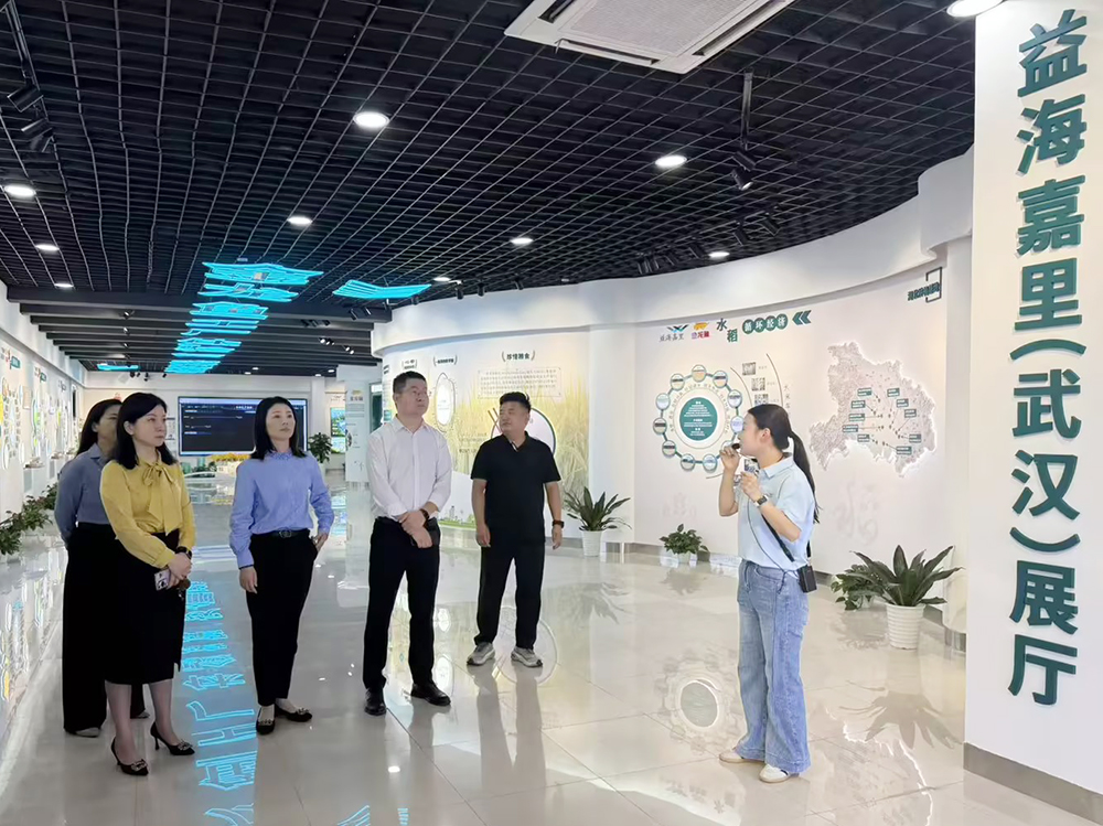 多宝电竞·(中国区)官方网站