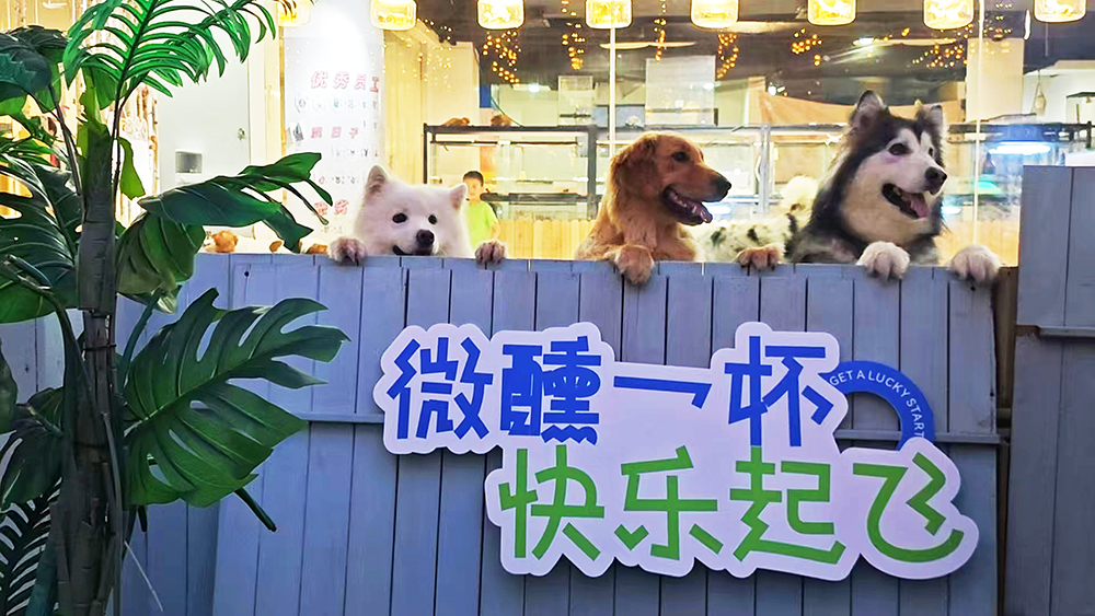 多宝电竞·(中国区)官方网站