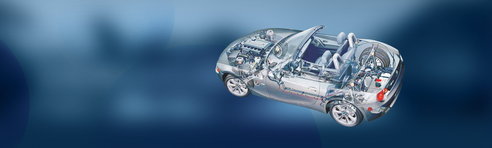 w66(�й���)�����ƹٷ���վ